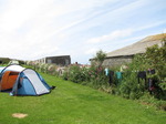 SX06911 Our tent at the flowers in the hedge on the Headland Caravan & Camping Park.jpg